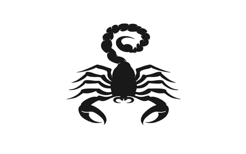 توقعات 15 فبراير.. قرارات مصيرية تغير حياة مواليد برج العقرب في العمل والعاطفة